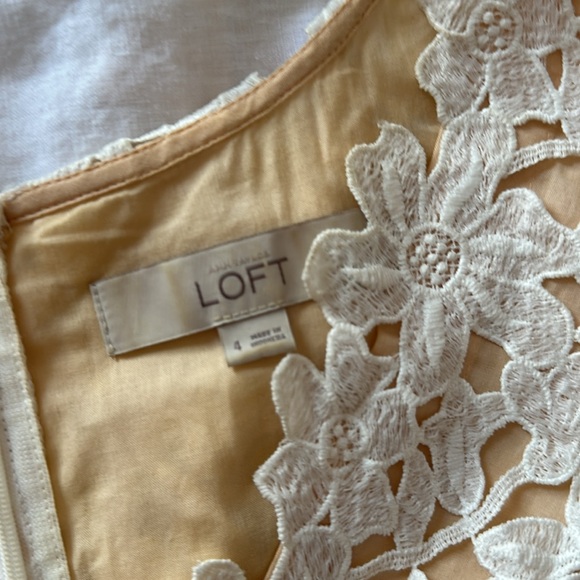 Crochet/Embroidered Loft Dress Sheath - Picture 3 of 4